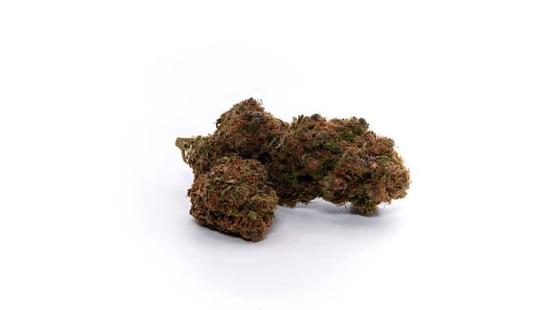 The dominant Sour OG strain terpenes are what actually give this cannabis strain its well-balanced high and flavour punch.