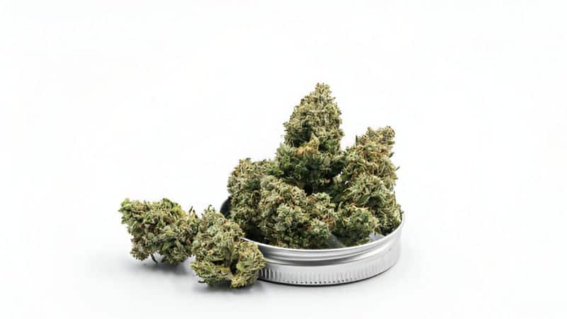 If you buy sativa weed online a lot, then you know how easy it can be to get an ounce of weed for cheap. This isn’t the case when you’re shopping in person at a local cannabis store.