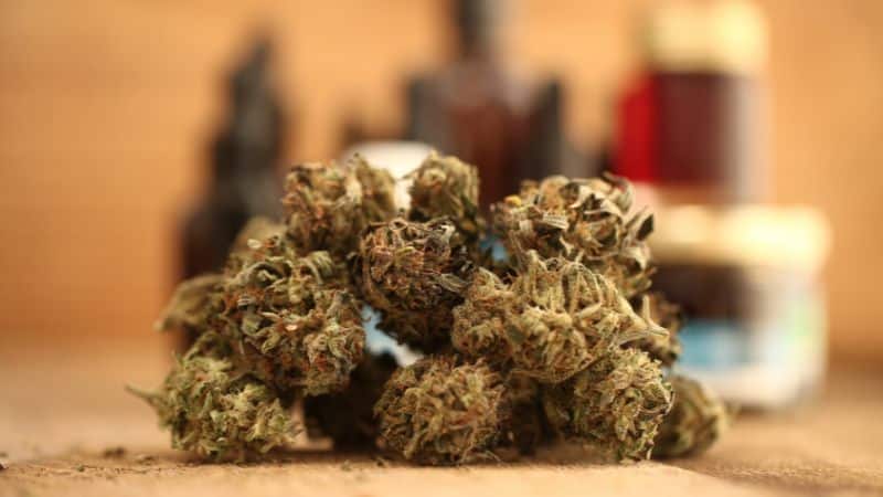 Top shelf cannabis in Canada represents the pinnacle of marijuana products. Unlike regular or mid-level flower, premium cannabis buds are often cultivated with precision, care, and in line with the best industry practices.