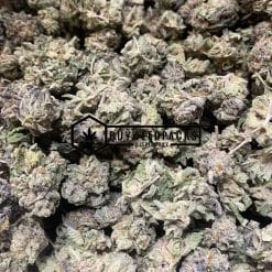 Tropicana Cookies - Online Dispensary Canada - Buyweedpacks