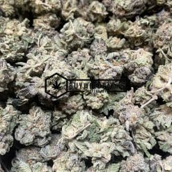 Tropicana Cookies - Online Dispensary Canada - Buyweedpacks
