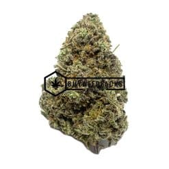 White Papaya - Online Dispensary Canada - Buyweedpacks