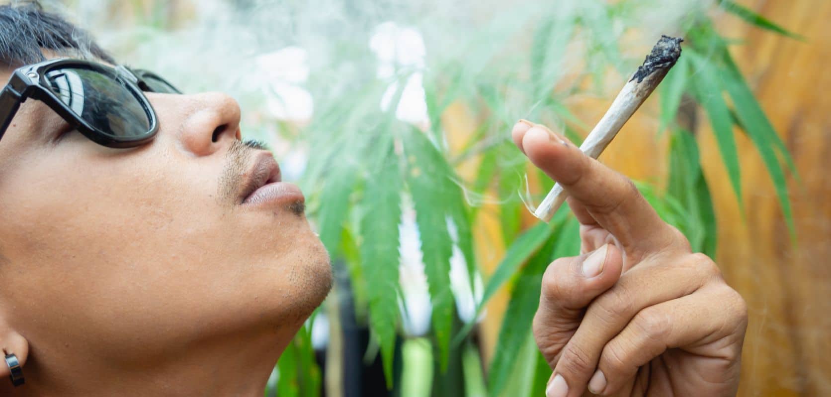 BuyWeedPacks mirrors this culture and welcoming spirit, and that's why many stoners buy weed online Windsor from us.