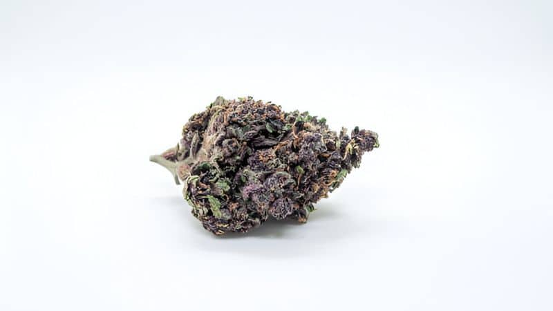 The attractive nature of this strain is what makes it a favourite for cannabis lovers who buy weed from an online weed dispensary.