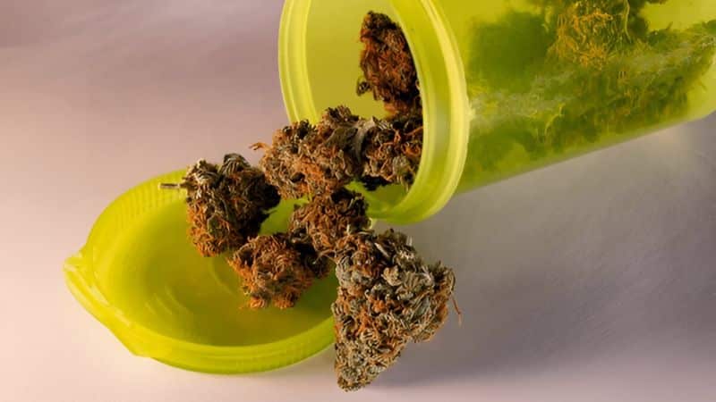 The foundation of any reliable online dispensary in Canada is quality.