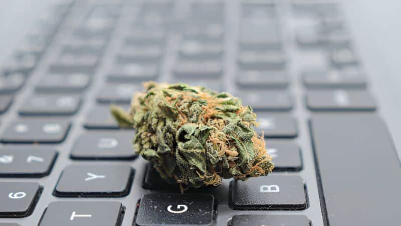 To ensure you get high-quality cannabis products, you need to buy them from a reputable dispensary online.