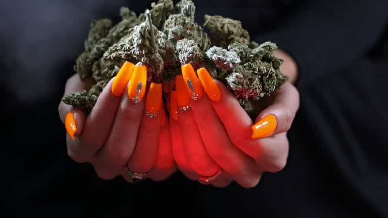 Black Diamond carries 23.5% THC with medium-sized sticky buds and a rich aroma. At more than 10% off, it delivers AAA quality at a price point closer to budget buds. These deals on weed will benefit you if you’re after powerful and balanced effects.