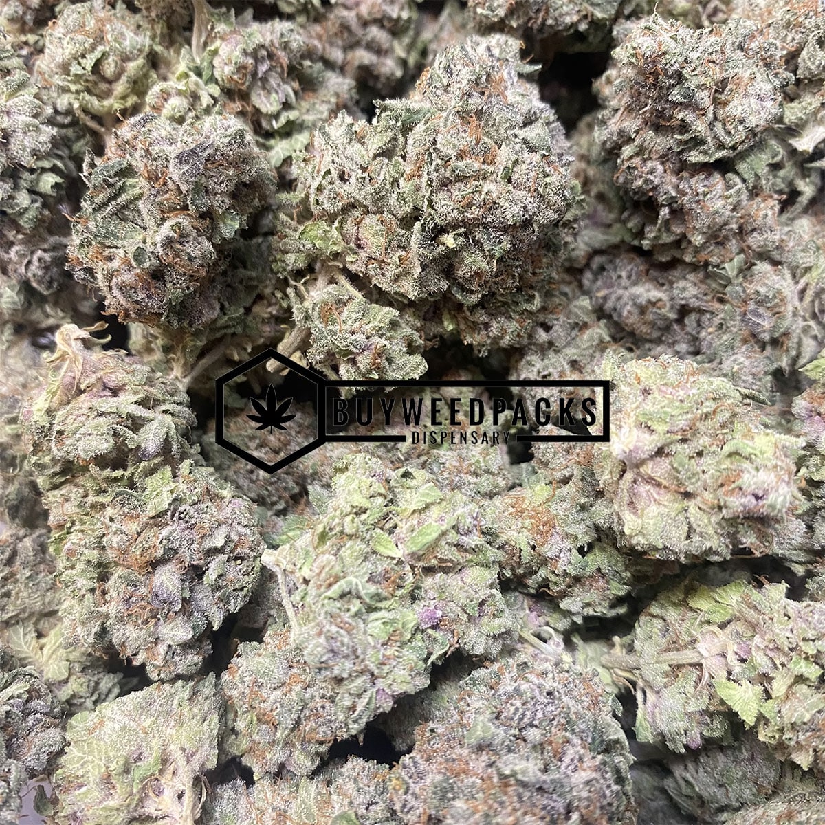 Black Widow - Online Dispensary Canada - Buyweedpacks