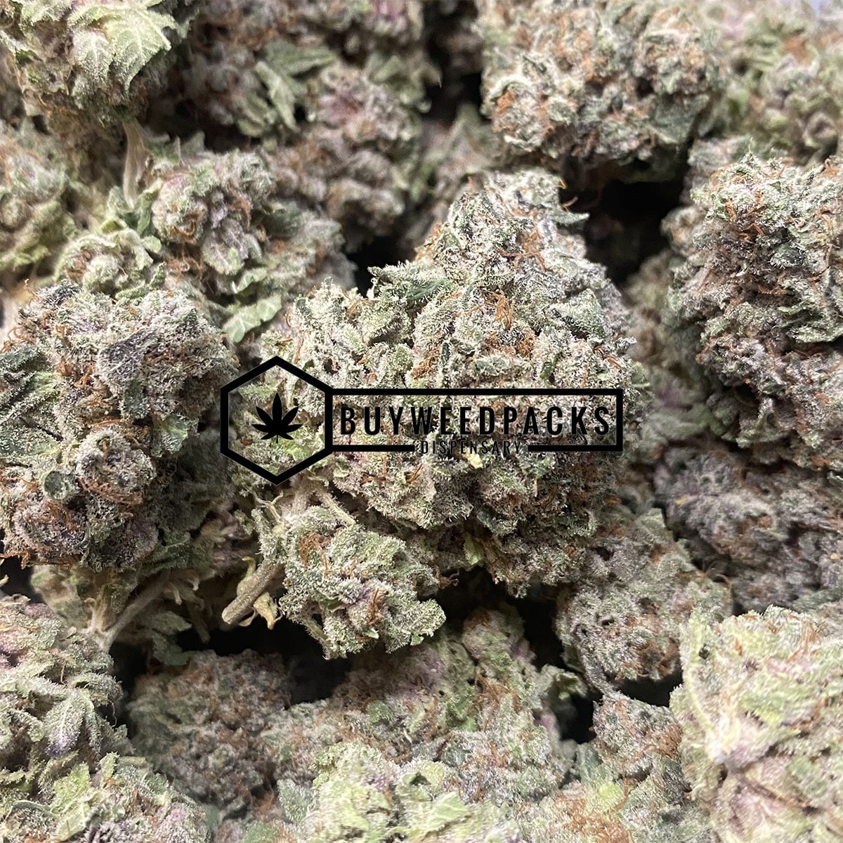 Black Widow - Online Dispensary Canada - Buyweedpacks