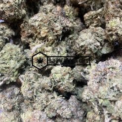 Blueberry Headband - Online Dispensary Canada - Buyweedpacks