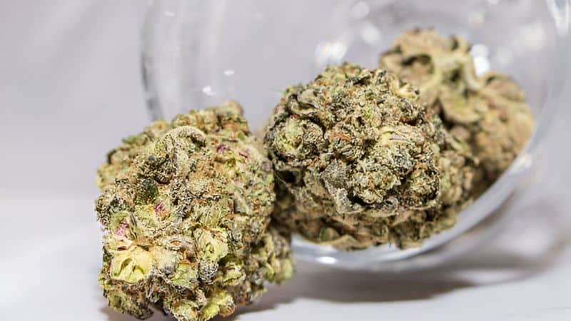 Blue Tuna is an indica-dominant hybrid that combines the genetics of Tuna Kush and Blueberry.