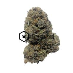 Brownie Scout - Buy Weed Online - Buyweedpacks