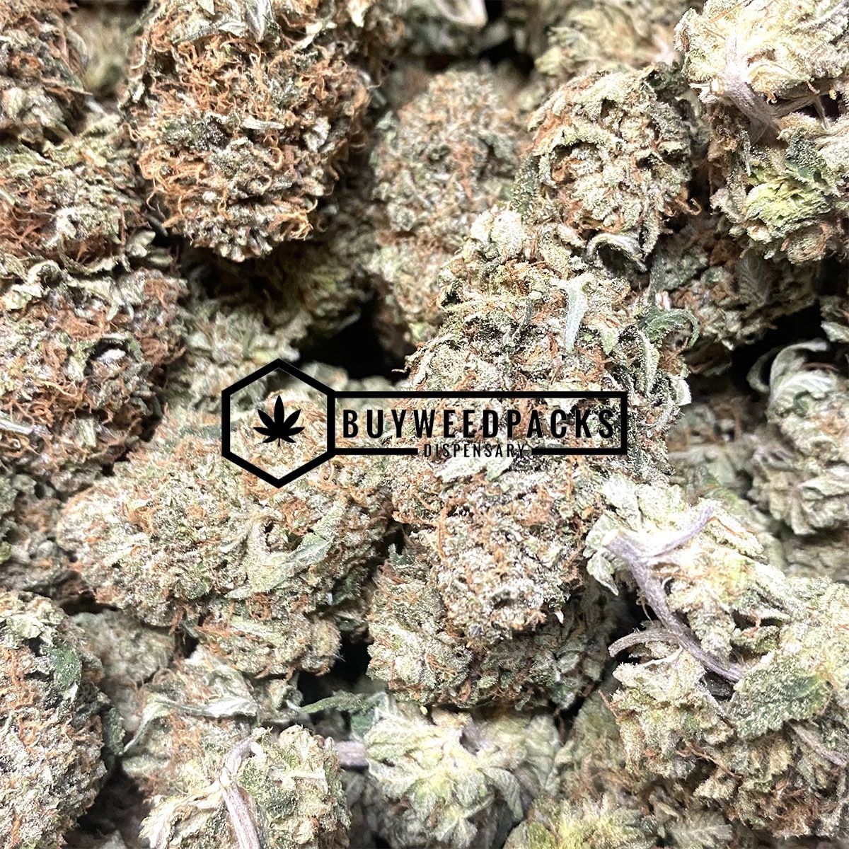 Bruce Banner OG - Online Dispensary Canada - Buyweedpacks