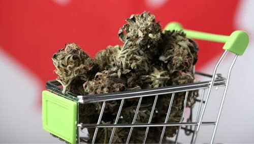 Buy Canadian weed online & explore exotic flower, powerful concentrates, delicious edibles, smooth vapes. Here’s what’s waiting for you.