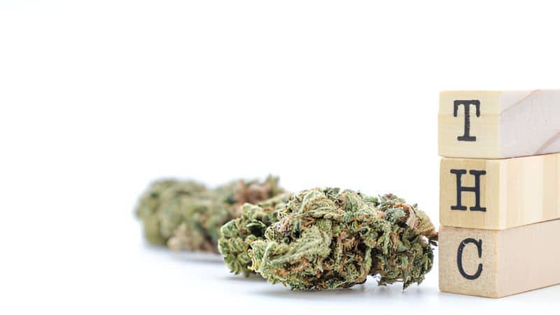 THC and CBD content are other essential factors to consider when you buy weed from an online dispensary.