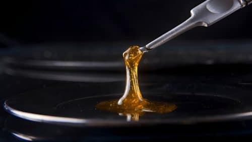 Discover quality cheap shatter in Canada & enjoy the smoothest high of your life. Order weed online & explore deals on the best concentrates.