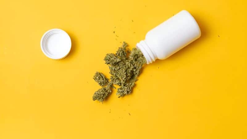 Connect to a stable internet and order weed online, all without getting out of your PJs. 