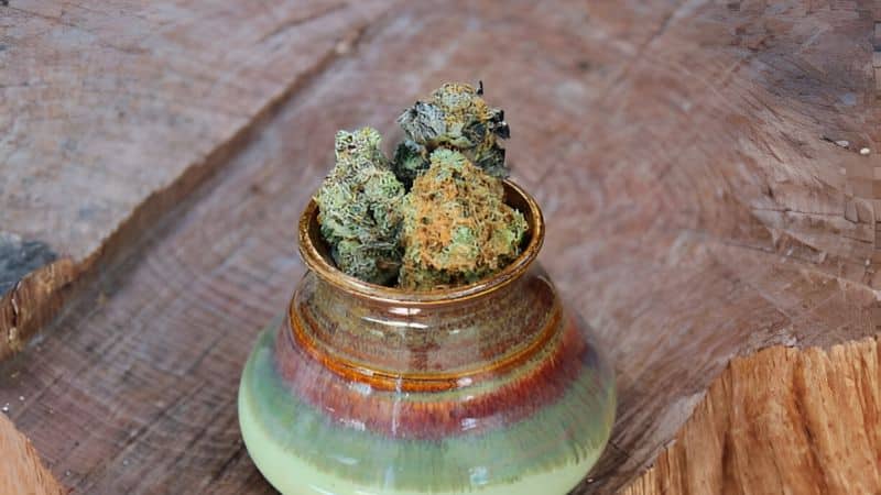 Craft cultivators rarely distribute kush at a mass scale, but a trusted online dispensary in Canada makes that possible.