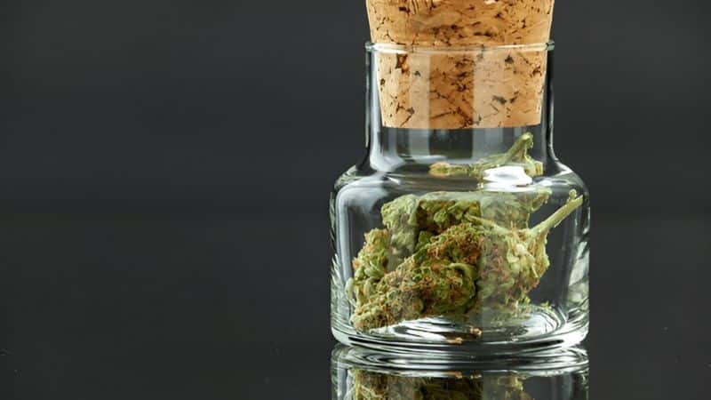 weed deals make cannabis in Canada more accessible without sacrificing quality. From budget buds that cover daily sessions to bulk discounts that cut long-term costs, the right deal stretches your budget while keeping your stash full. weed deals make cannabis in Canada more accessible without sacrificing quality. From budget buds that cover daily sessions to bulk discounts that cut long-term costs, the right deal stretches your budget while keeping your stash full. 