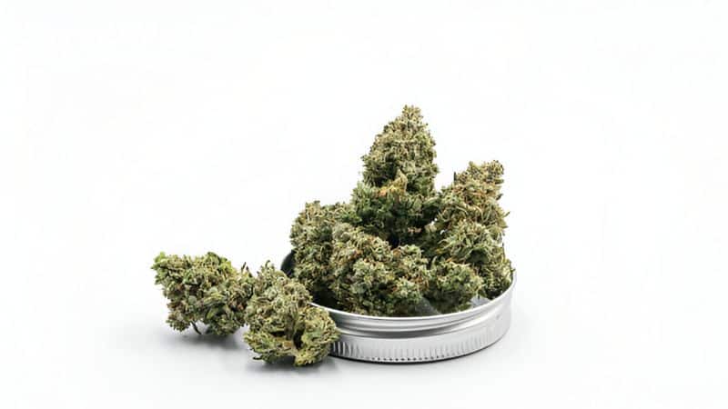 Dried bud is a classic, versatile product to enjoy cannabis. 