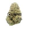 Garlic Breath - Online Dispensary Canada - Buyweedpacks