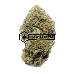 Gelato - Online Dispensary Canada - Buyweedpacks