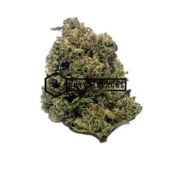 Gorilla Glue #4 | Buy Online Weeds | Buyweedpacks
