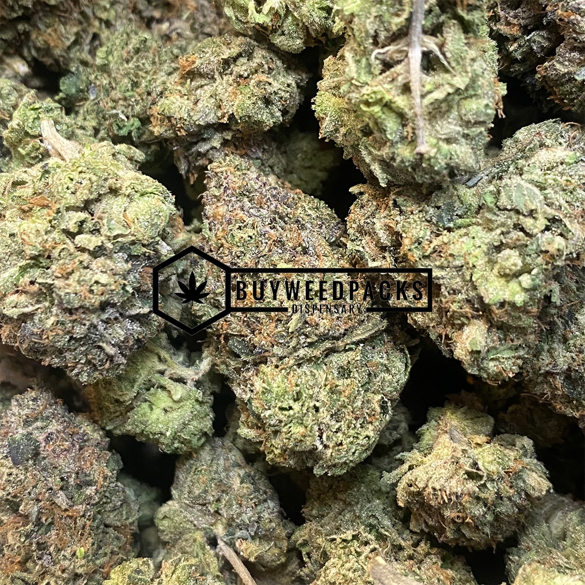 Gorilla Glue #4 | Buy Online Weeds | Buyweedpacks