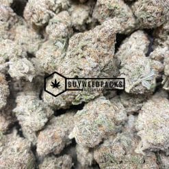 Gorilla Grapes - Online Dispensary Canada - Buyweedpacks