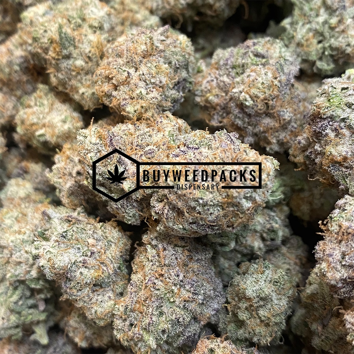 Grape Pie | Buy Online Weeds | Buyweedpacks