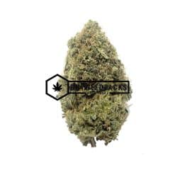 Grapefruit Haze - Online Dispensary Canada - Buyweedpacks