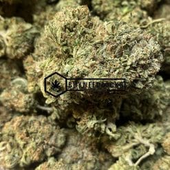 Greasy Rockstar - Buy Weed Online - Buyweedpacks