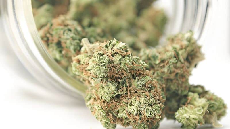 hybrid strains are a byproduct of a cross between indica and sativa strains.