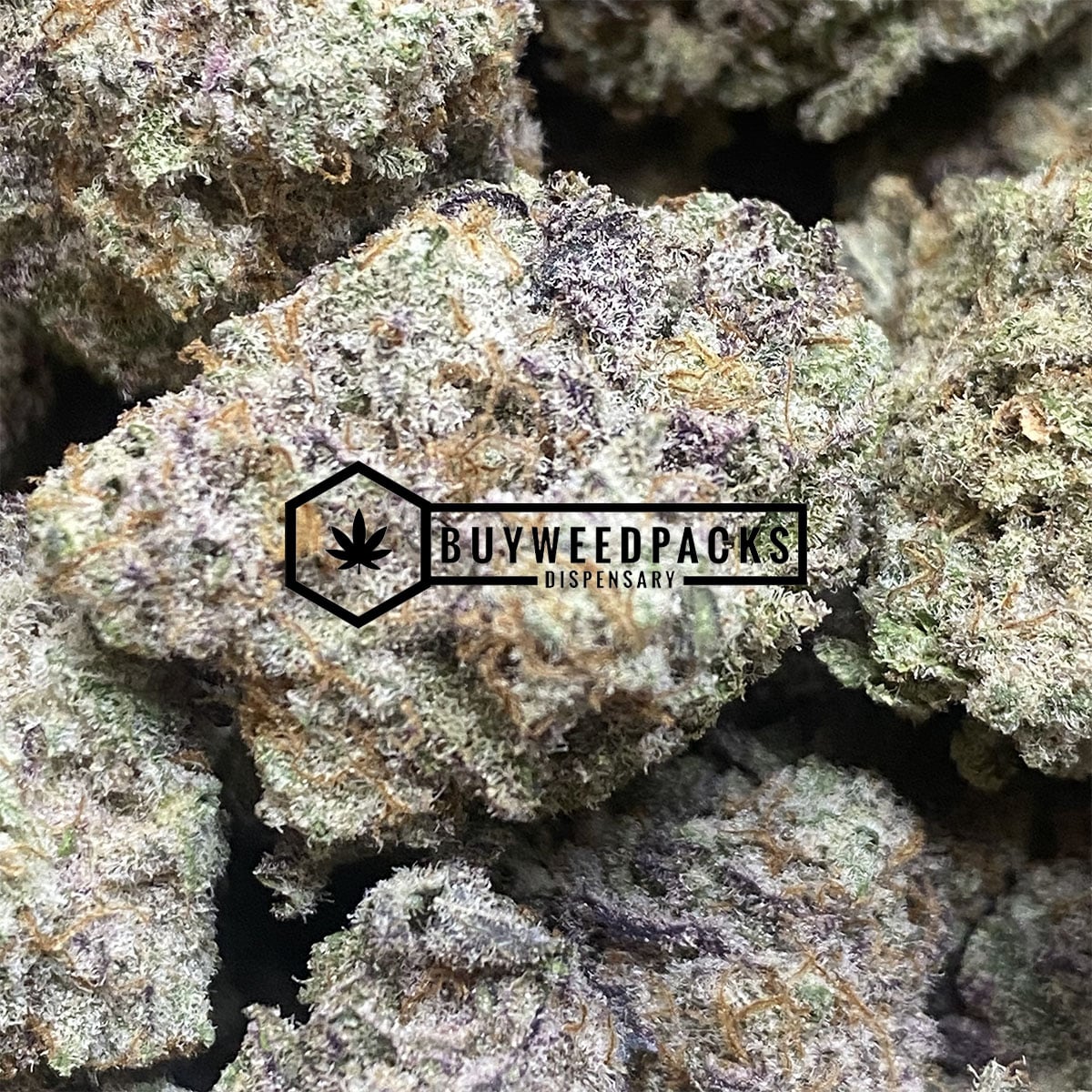 Nightmare OG - Online Dispensary Canada - Buyweedpacks