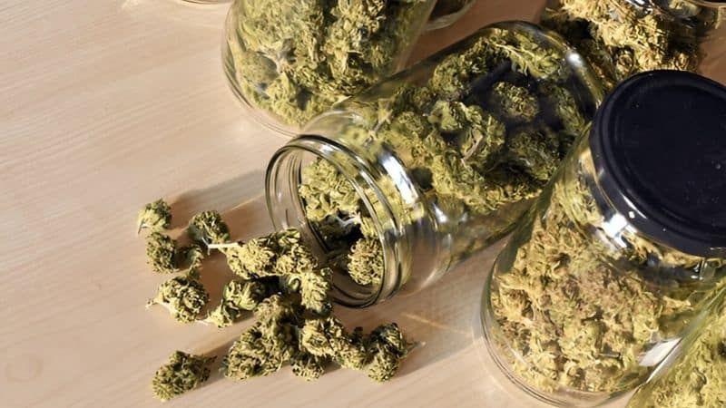 An online dispensary in Canada is a digital platform where you can buy weed safely and conveniently.