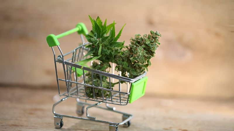 Online shopping for weed simply means purchasing cannabis products from a reliable online dispensary instead of visiting a physical store.