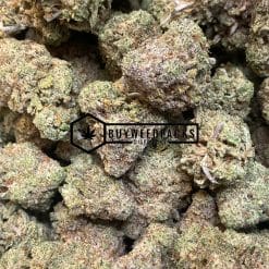 Pablo's Mint | Buy Online Weeds | Buyweedpacks