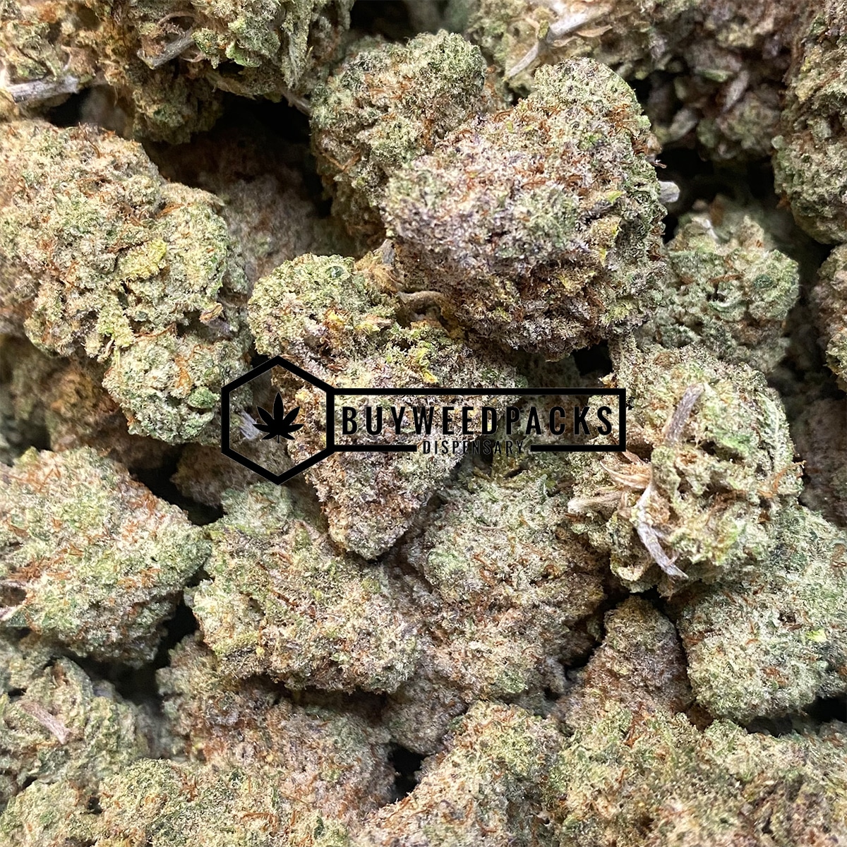 Pablo's Mint | Buy Online Weeds | Buyweedpacks