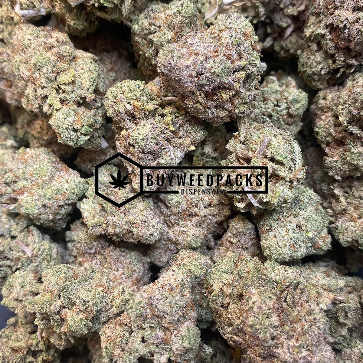 Pablo's Mint | Buy Online Weeds | Buyweedpacks