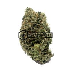 Pine Tar Kush | Buy Online Weeds | Buyweedpacks