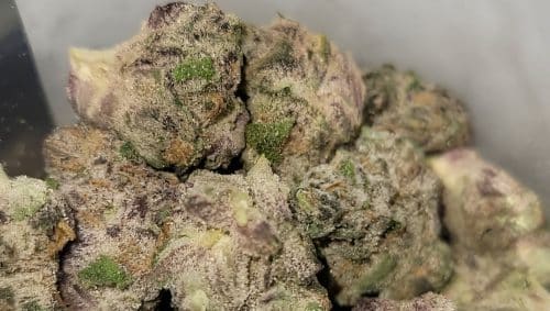 Platinum Purple strain delivers sweet grape flavors, rich aroma, and relaxing effects. Order this premium weed online in Canada with ease.