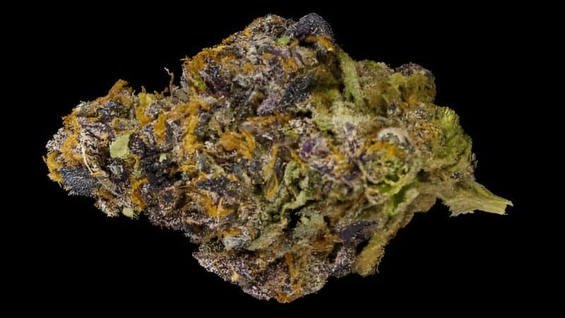 Cannabis lovers don't only choose the Platinum Purple strain for its smooth high; some buy it because of its potential therapeutic benefits.