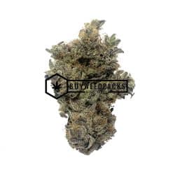 Purple Rockstar Kush | Buy Online Weeds | Buyweedpacks