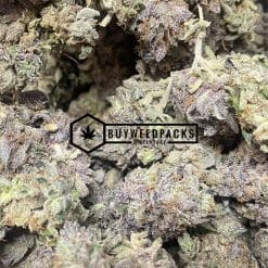 Purple Rockstar Kush | Buy Online Weeds | Buyweedpacks