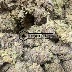 Purple Rockstar Kush | Buy Online Weeds | Buyweedpacks
