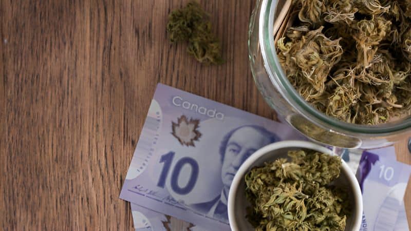 If you want to save money when stocking up on kush, most of the magic comes from weed deals. This is where you’ll find some of the cheapest weed online in Canada. 