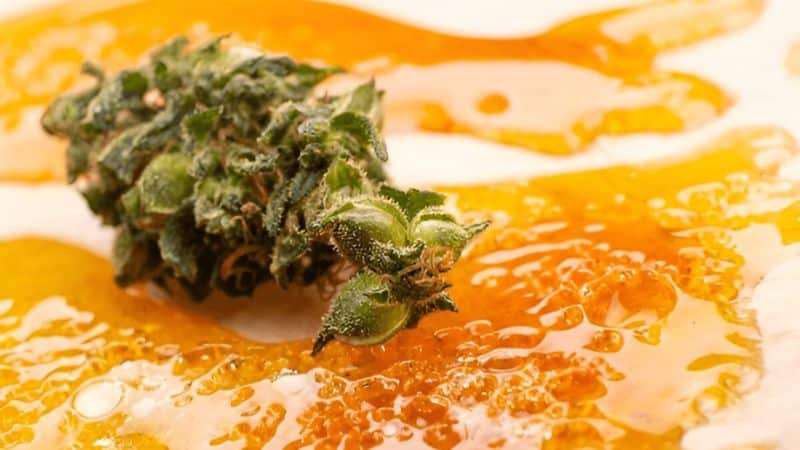 Strong deals on weed save you money while keeping quality consistent. A weak weed offer looks tempting on the surface, but it usually hides poor value.