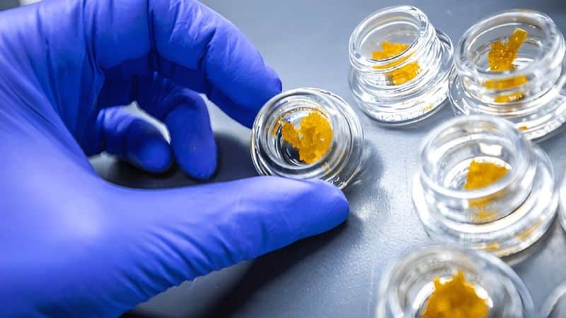 Bulk deals on the cheapest shatter in Canada stretch my stash further than any flower or vape cartridge.