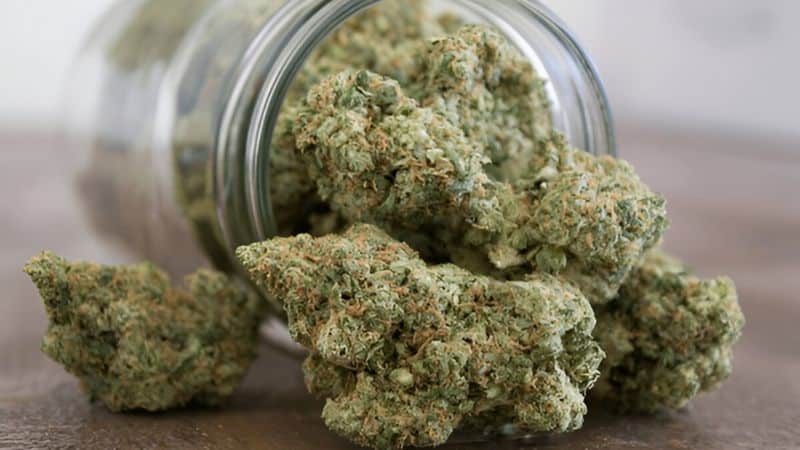 Another way to ensure you score the best strain from a weed store online is to take note of your favourite and least favourite strains.