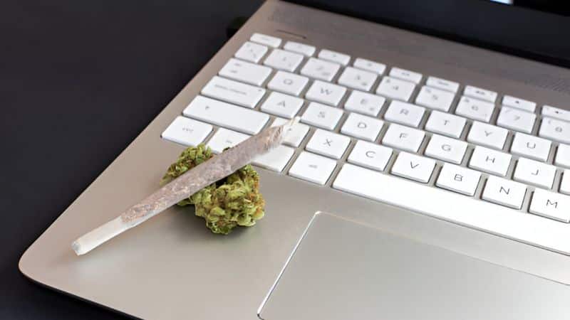 When I tried an online weed dispensary, I immediately noticed the wider selection, clear lab results, and easier browsing.